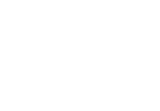 Pioneer Fund